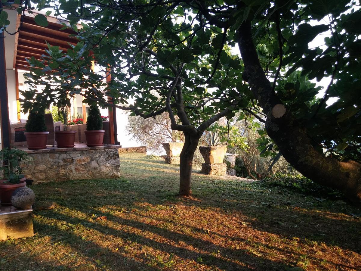 Apartment Ulcinj Exterior photo